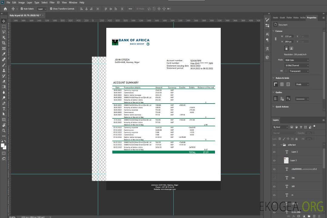 Relevé bancaire de la Niger Bank of Africa template